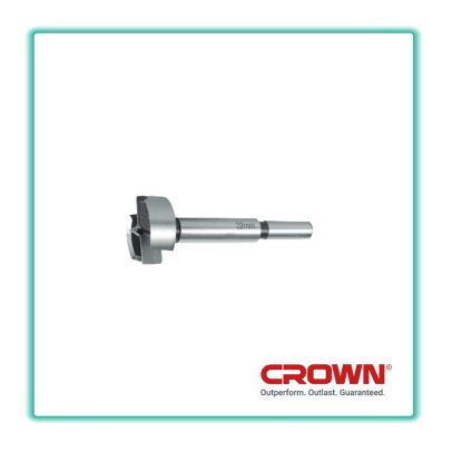 ريش ثقب خشب دائري